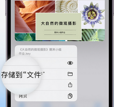 晋江apple维修中心分享iPhone文件应用中存储和找到下载文件