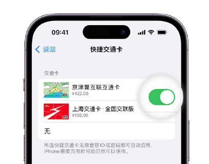 晋江apple维修点分享iPhone上更换Apple Pay快捷交通卡手绘卡面 