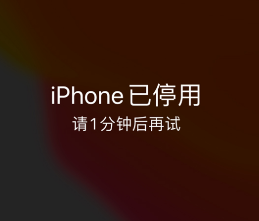 晋江苹果手机维修分享:iPhone 显示“不可用”或“已停用”怎么办？还能保留数据吗？ 