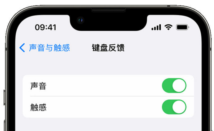 晋江苹果手机维修分享iPhone 14触感键盘使用方法 