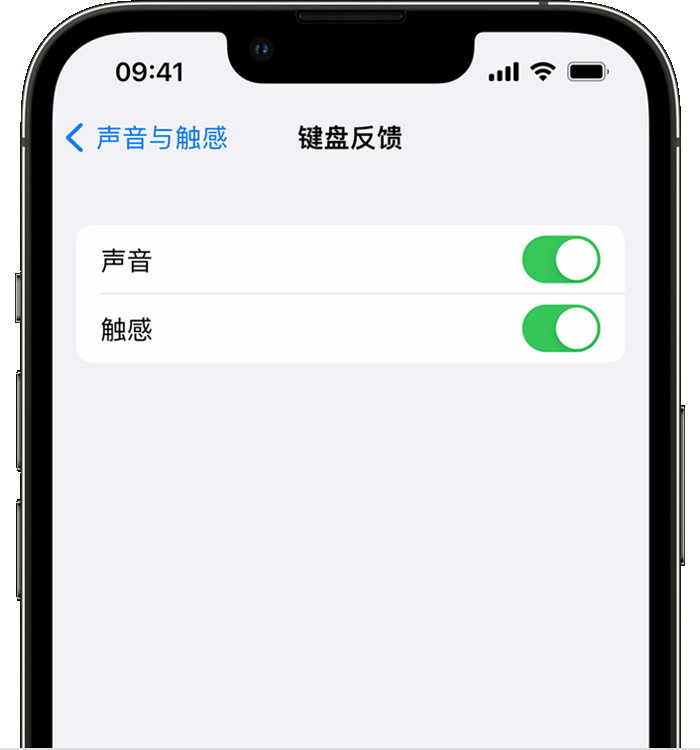 晋江苹果14维修店分享如何在 iPhone 14 机型中使用触感键盘 