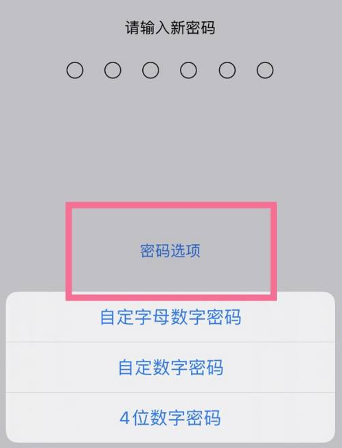 晋江苹果14维修分享iPhone 14plus设置密码的方法 