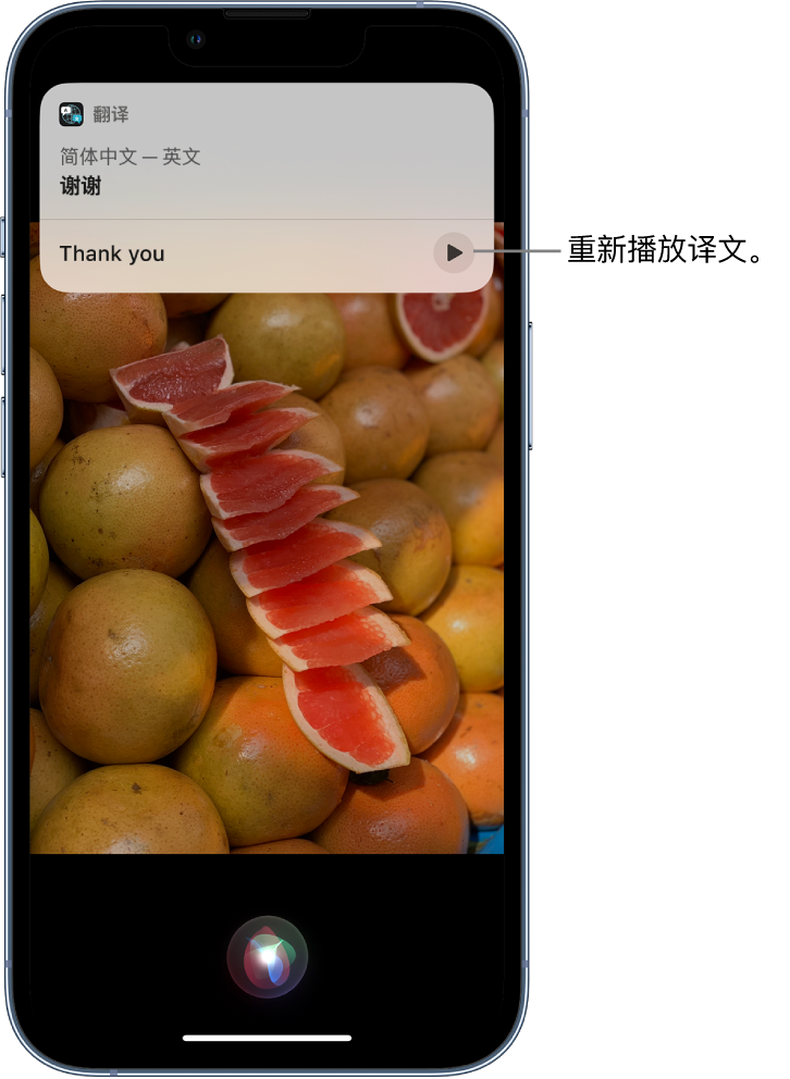 晋江苹果14维修分享 iPhone 14 机型中使用 Siri：了解 Siri 能帮你做什么 