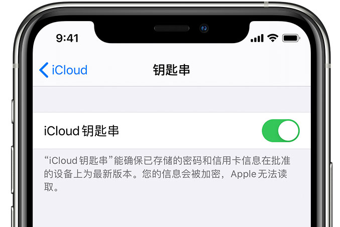 晋江苹果手机维修分享在 iPhone 上开启 iCloud 钥匙串之后会储存哪些信息 