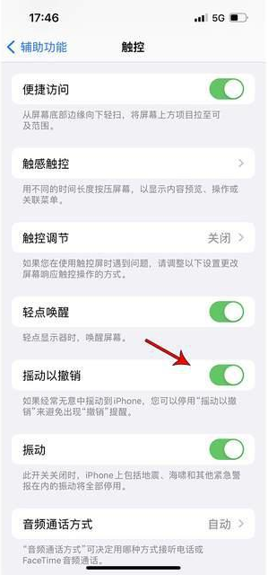 晋江苹果手机维修分享iPhone手机如何设置摇一摇删除文字 